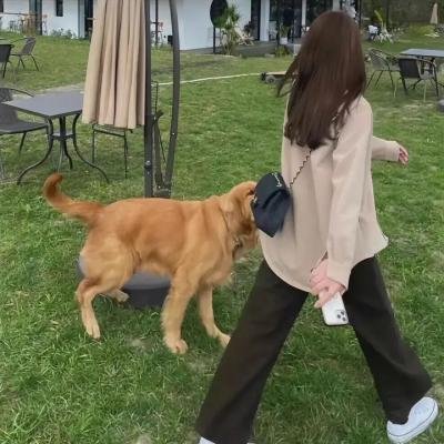 忧罗娜传奇